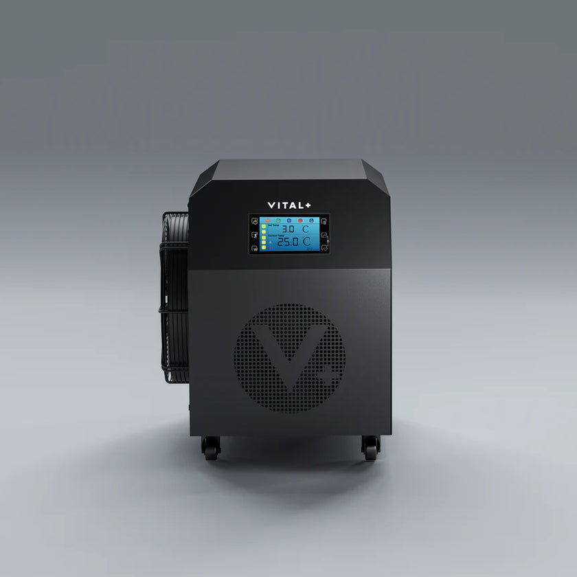 Vital+ celeb highlight